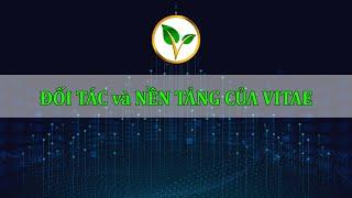 #3 NỀN TẢNG và ĐỐI TÁC CỦA VITAE