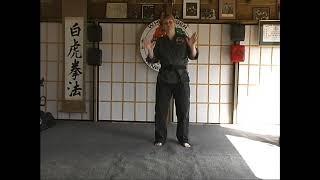 White Tiger Kenpo Introduction to Kenpo