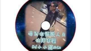 喝到你懷疑人生-佳樺專屬-Dj小小頡 Mix