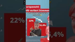 Ein anderer Blick auf den „Wahlerfolg“ der AfD bei der Europawahl 2024 