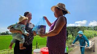 A single mother's journey to pick lemons and the appearance of a special guest. /lytieuhuyen99