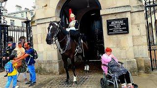 Lovely Horse the King Ormonde at Horse Guards in London