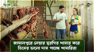 Deepto Krishi | জামালপুরে লেয়ার মুরগির খামার করে ডিমের ভালো দাম পাচ্ছে খামারিরা | EP 1599 | Egg