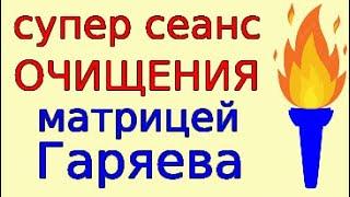 Сеанс очищения и исцеления с матрицей Гаряева за 5 минут. Инструкция + сеанс