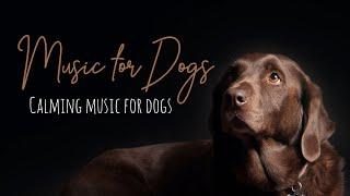 Calming Music for Dogs, Music for Dogs to Relax, Deep Separation Anxiety Music for Dogs