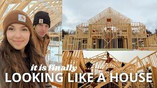 We have a HOUSE STRUCTURE | DITL of building a house