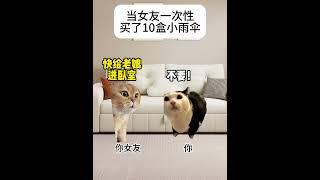当女友一次性买了10盒小雨伞 #猫meme #猫meme小剧场 #情侣日常 #情侣生活 #情侣  #搞笑 #喵哥是萌新  #funny #人類迷惑行為  #cat #沙雕剧情 #meme
