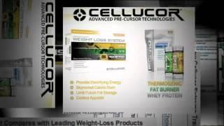 Cellucor Extreme Transformation Kit Review   Dietspotlight com