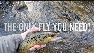 If this FLY isn't in your TROUT BOX, you might be an IDIOT!!!  (Nantahala River, NC)