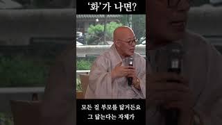 화가 나면 ? - 진우스님의 오늘의 명상  #명상 #조계종 #진우스님 #불교