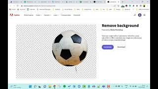 #696 Adobe Express: Free transparent background maker