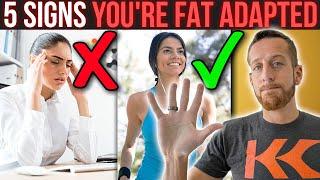 5 Signs You’re Fat Adapted