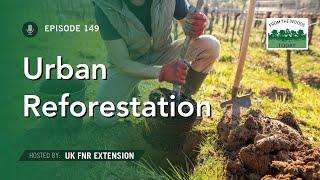 Reforestation in Urban Areas - From the Woods Today - Episode 149