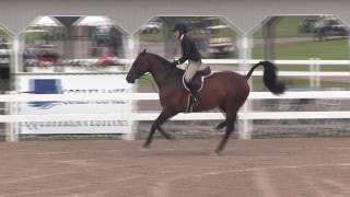 Video of LEGACY ridden by ASHLEY VOGEL from ShowNet!