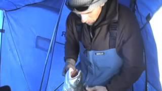 Jigging Monster Lake Trout Through The Ice