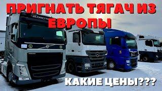 ТЯГАЧ ИЗ ЕВРОПЫ | КАКИЕ ЦЕНЫ СЕЙЧАС?