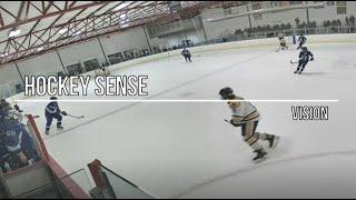 VIDEO 74: HOCKEY SENSE - Vision