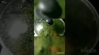 #shorts #shortsfeed #viral #prasiturecipesandvlogs
