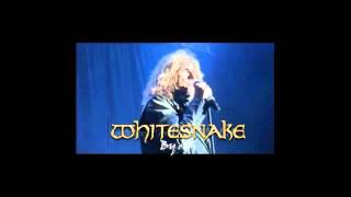 Whitesnake Bs  As  18 set  2011  02 Best years By Ari