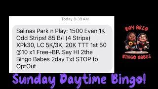 Salinas Park N Play Bingo Sunday Matinee Session