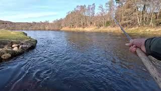 Salmon fishing at Tulchan day 3