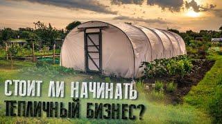 Ошибки старта тепличного бизнеса. Перед тем как делать, это обязательно надо знать