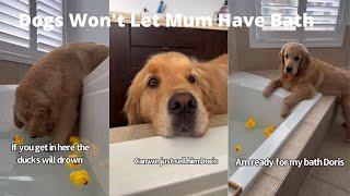 Dogs Won't Let Mum Have Bath In Peace