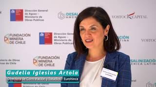 Vostock Capital - Seminario Desalinización Chile 2020 - ESP