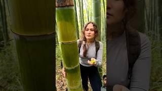 Girl Skill is awesome #nature #bamboo #bushcraft #satisfying #wood #survival #lifehack #camping