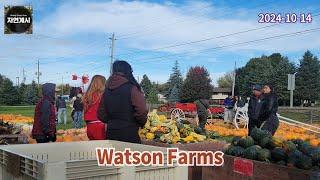 Watson Farms Apple Picking #1 [2024.10.14] @walkingontarioparks