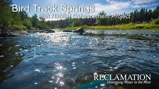 Bird Track Springs Fish Habitat Enhancement Project