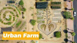 Agave Farms - How Urban Farming Benefits a Community