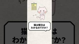 Q：猫は曜日は分かるんですか？ #猫 #保護猫 #ねこの気持ち #ねこ