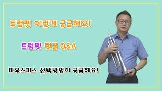 [질문댓글에 답하다!] 트럼펫 Q&A 두번째, 마우스피스 선택방법이 궁금해요!