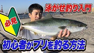 【泳がせ釣り入門】初心者でもブリやF5太刀魚が釣れる夢の釣法“エレベーター泳がせ釣り”を徹底解説