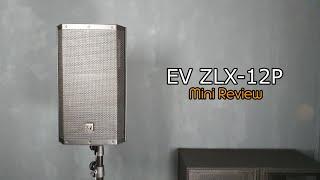 EV ZLX-12P - Mini Review Deutsch