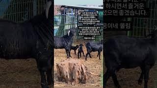 새해복많이받으세요.