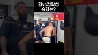 마동석vs페레이라vs??? 승자는?