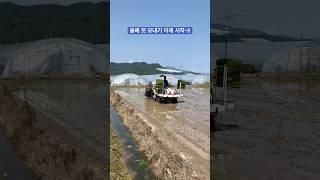 올해 첫 모내기 시작합니다!! #모내기 #얀마 #이앙기 #농기계 #쌀 #시작 #청년농부 #구독과좋아요 #farm #farming #automobile #고령군