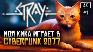 [4K] Stray прохождение на русском  Стрей полное прохождение и обзор игры