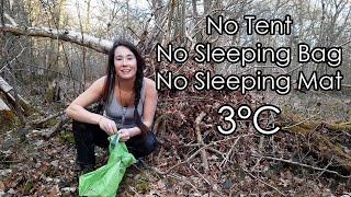 OVERNIGHT SURVIVAL in 3°C: Fallen Tree & Debris Shelter