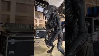 Alien Romulus | Behind The Scenes