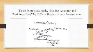 Lymphatic System Part 1