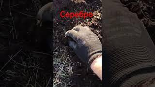 #коп2023 #коп #царскиемонеты #копсметаллоискателем #находка