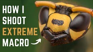 How to shoot EXTREME MACRO the EASIEST way (No Focusing Rail | No Macro Lens | No Microscope)