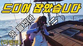 웜을 대충 끼워도 대광어 반응이 미친 이 웜을 아십니까?? (이벤트)