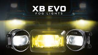 Introducing the Ultimate Fog Lights | Morimoto XB EVO LED Fog Lights Unveiled