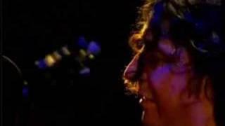 LUIS SALINAS : "LA SALSALINAS"