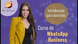 Introducción Curso Whatsapp/dummies