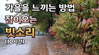 The gift of autumn rain sound to youㅣ10 minutes later dark screenㅣtinnitus treatment effect